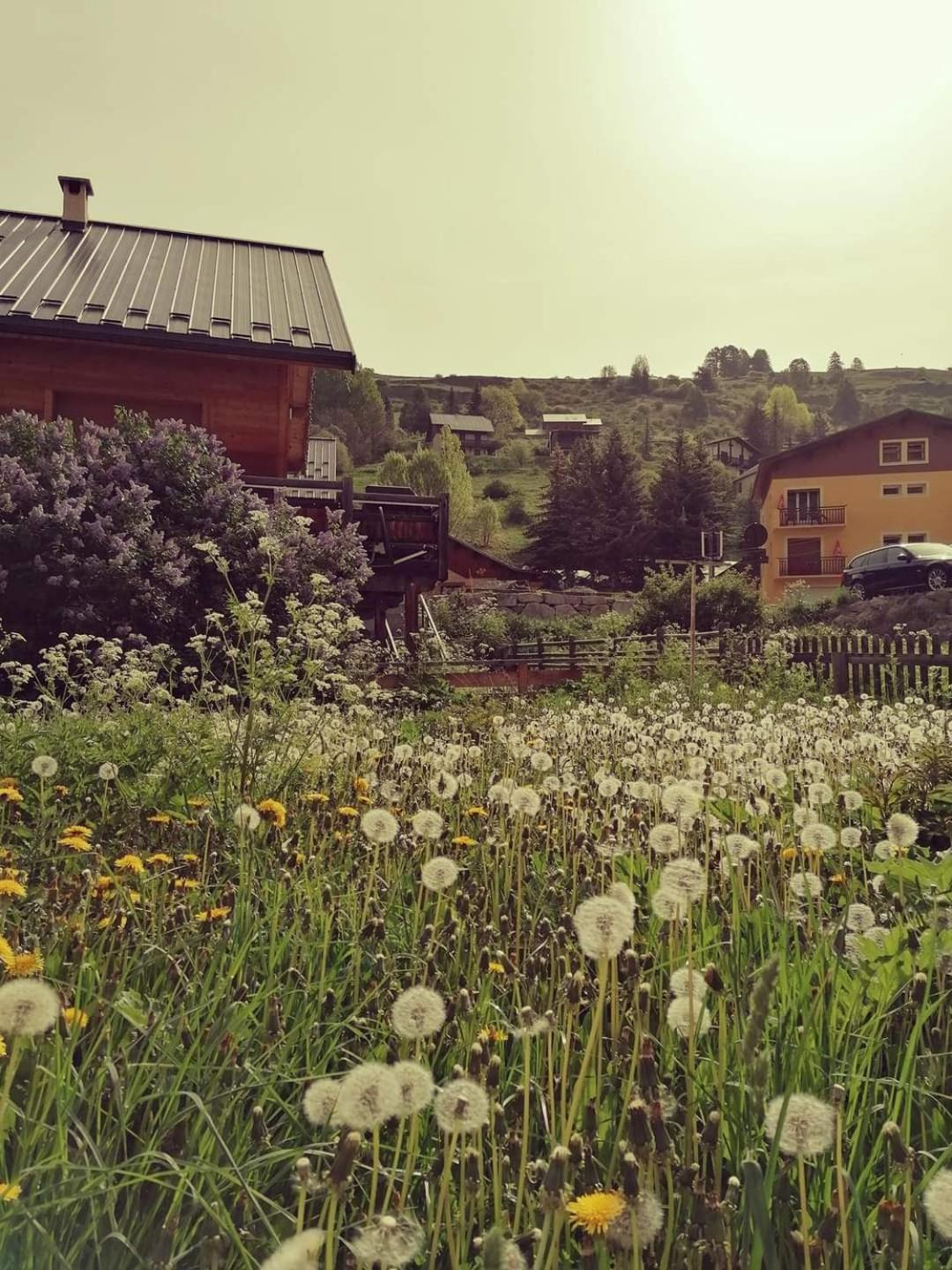 Hotel Le Lievre Blanc Vars  Luaran gambar